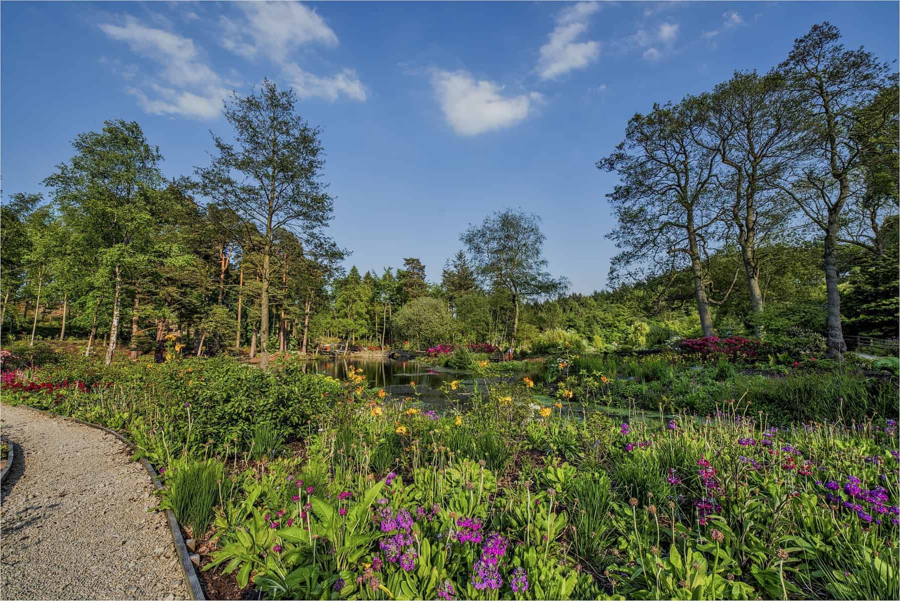 Himalayan Garden, Ripon