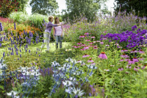 Summer family photoshoot at RHS Harlow Carr.