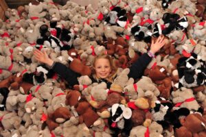 Teddy Trust