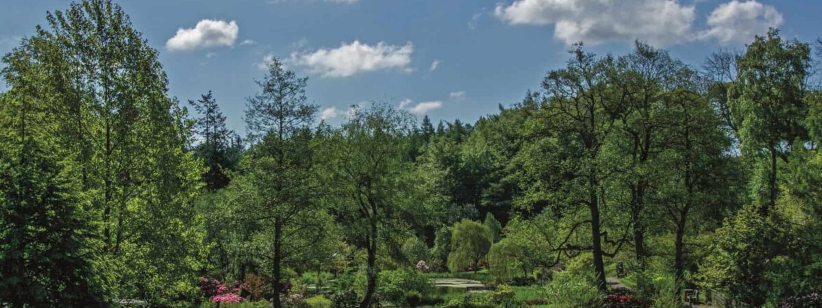Himalayan Gardens
