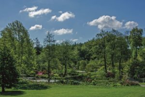 Himalayan Gardens