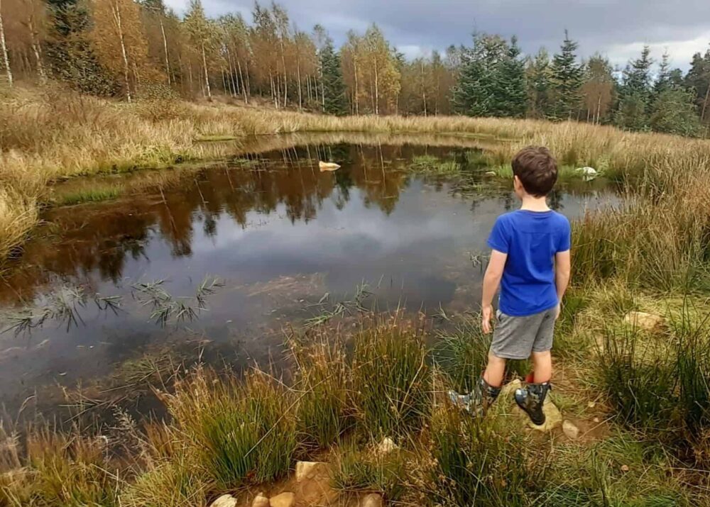 Pond in Nidderdale AONB