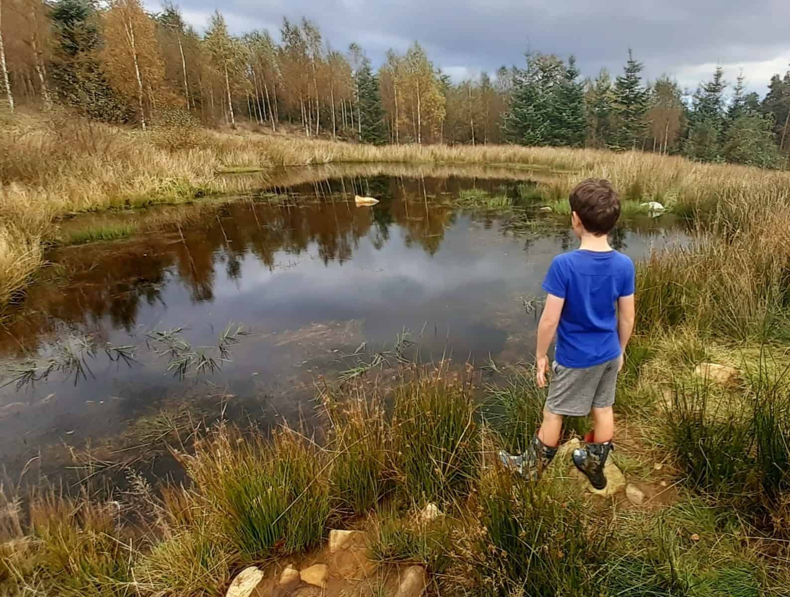 Pond in Nidderdale AONB