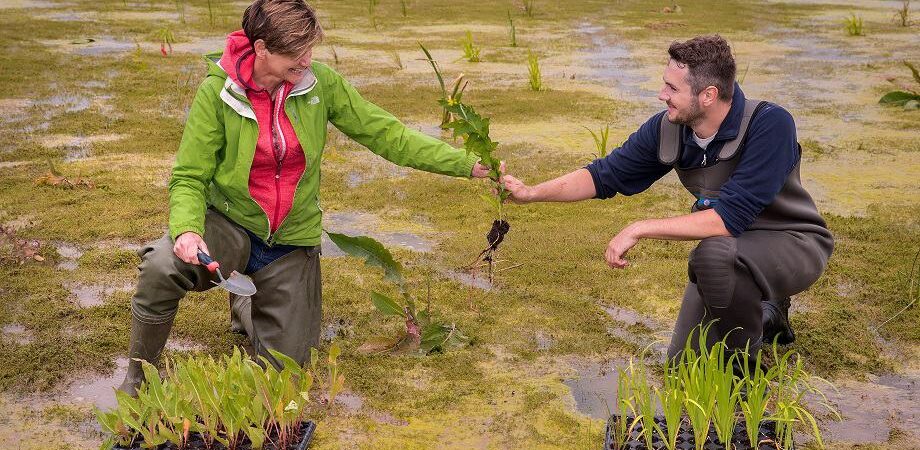 Nosterfield Nature Resereve. Sustainability
