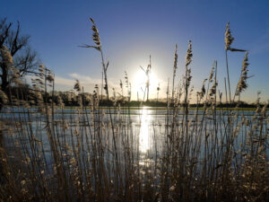 Great Ouse Rivers Trust